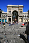 MILAN 4