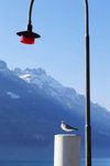 brienz 2-