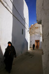 IMG_4565-b