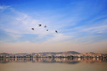 SIDI BOU SAID 4a