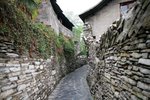 IMG_6489