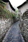 IMG_6490