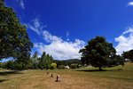 PORT ARTHUR 16