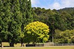 PORT ARTHUR 30