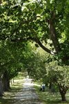 PORT ARTHUR 32