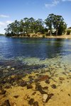 PORT ARTHUR 35