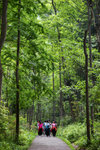 黃石寨-8