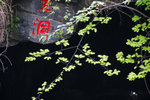 龍王洞-1