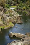 CATARACT GORGE 7