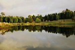 TAMAR VALLEY RESORT 14