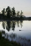 TAMAR VALLEY RESORT 24