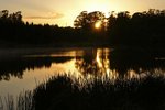 TAMAR VALLEY RESORT 26