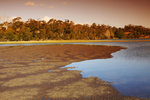 BRADYS LOOKOUT 10