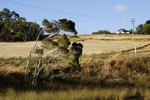 BRADYS LOOKOUT 11