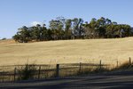 BRADYS LOOKOUT 12A