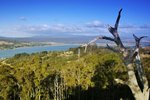 BRADYS LOOKOUT 2