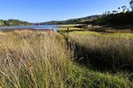 BRADYS LOOKOUT 6