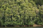 LAKE BARRINGTON 1