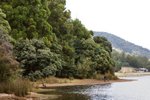 LAKE BARRINGTON 4