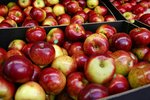 AVRO PARK ORCHARDS 1