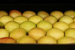 AVRO PARK ORCHARDS 3