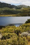 CRADLE MOUNTAIN 10