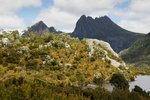 CRADLE MOUNTAIN 7A