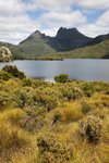 CRADLE MOUNTAIN 9
