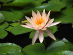 P5201076