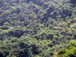 P5201159
