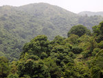 P5201160