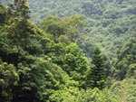 P5201168
