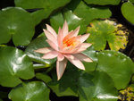 P5201171