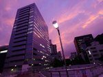 P1050033