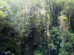 P5200973