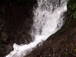 P5200986