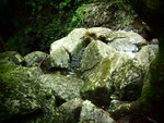 P5201029