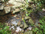 P5201040