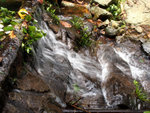 P5201053