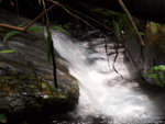 P5201069