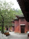 IMG_0586