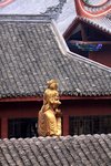 IMG_4602