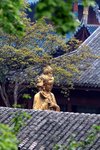 IMG_4608