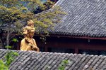 IMG_4609