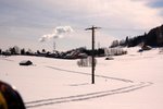 DSC_5250