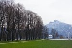 F7254655
