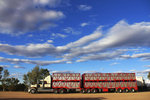 CADNEY HOMESTEAD 4