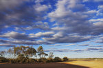 CADNEY HOMESTEAD 8