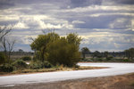 GLENDAMBO 2