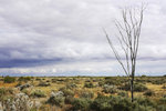 GLENDAMBO 3